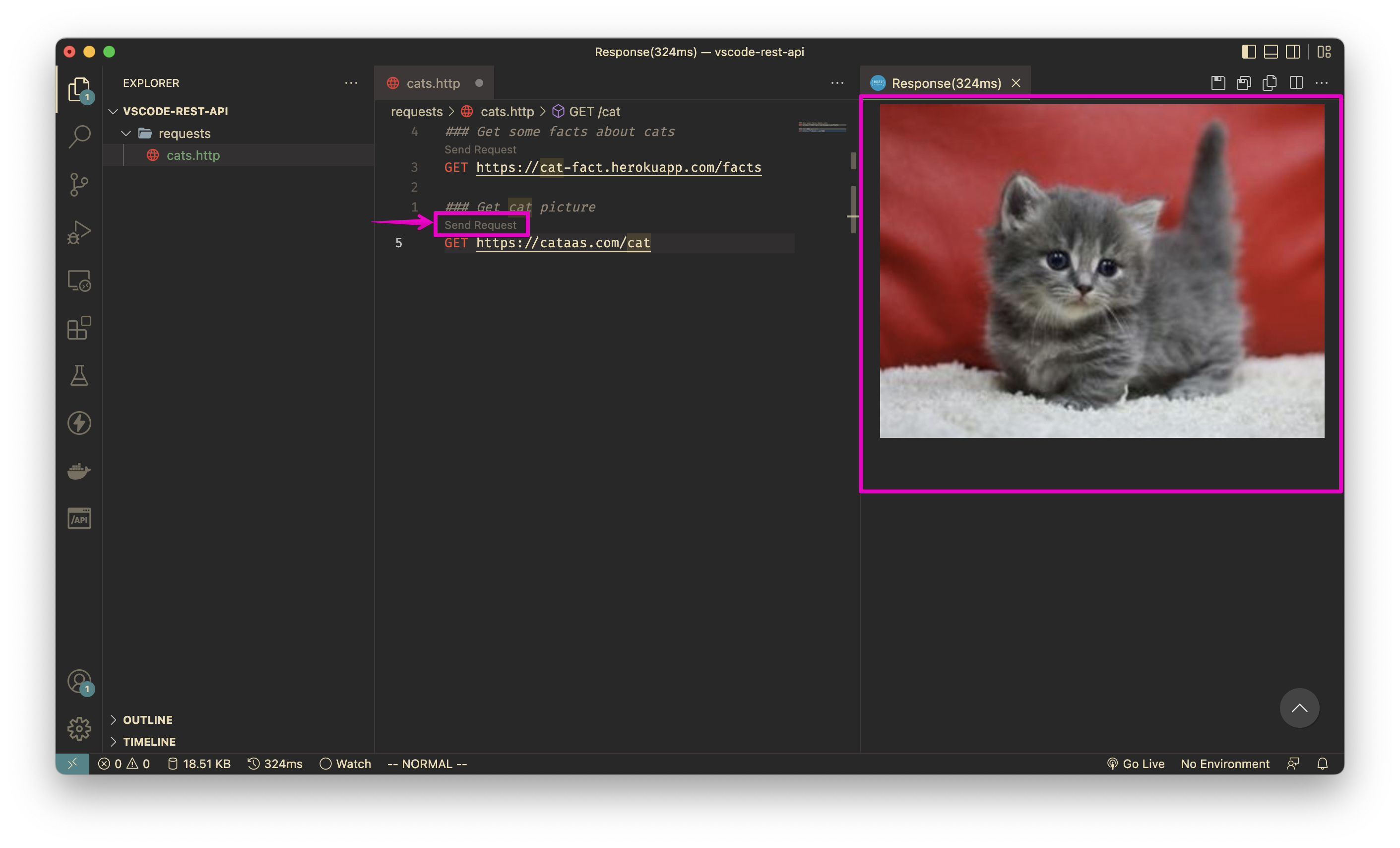 Cat image