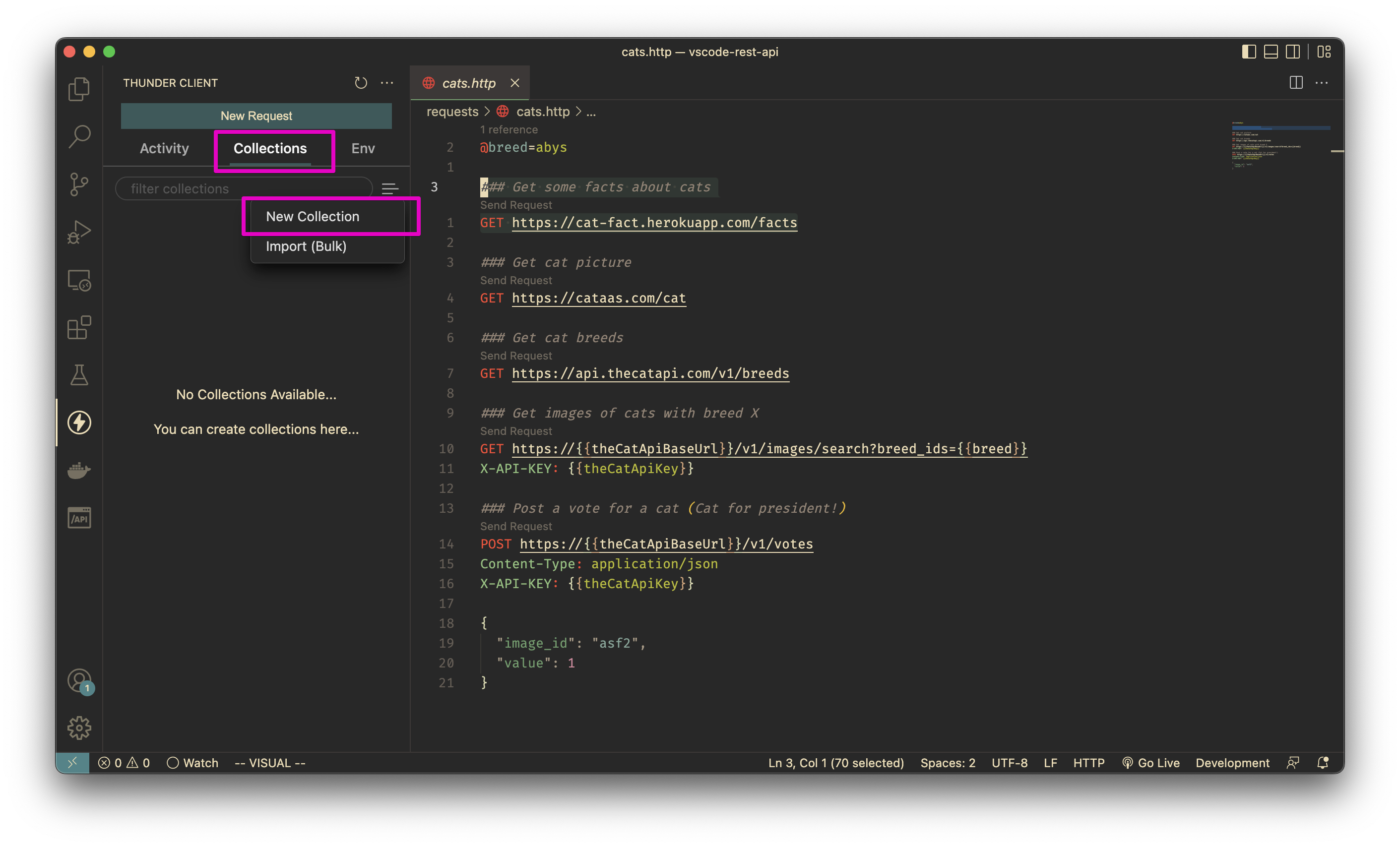 Create Colleciton in Thunder Client