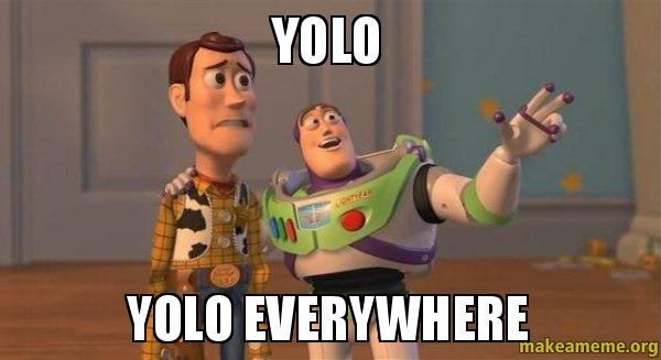 YOLO everywhere